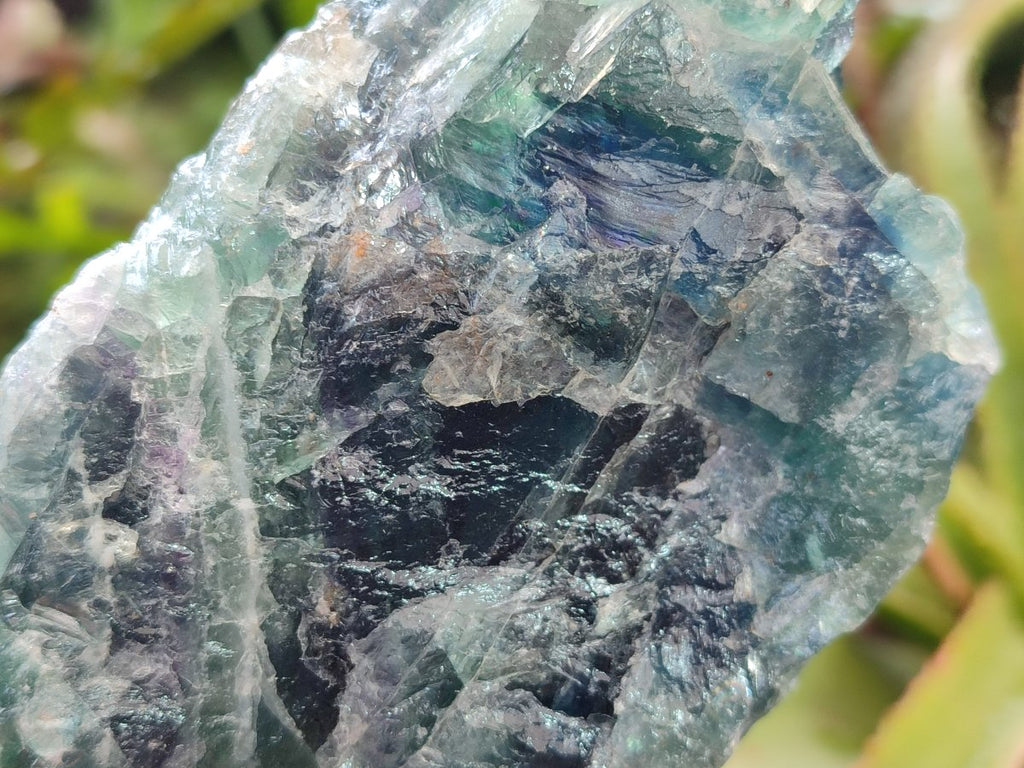 Natural Large Watermelon Fluorite Cobbed Specimens x 4 From Uis, Namibia
