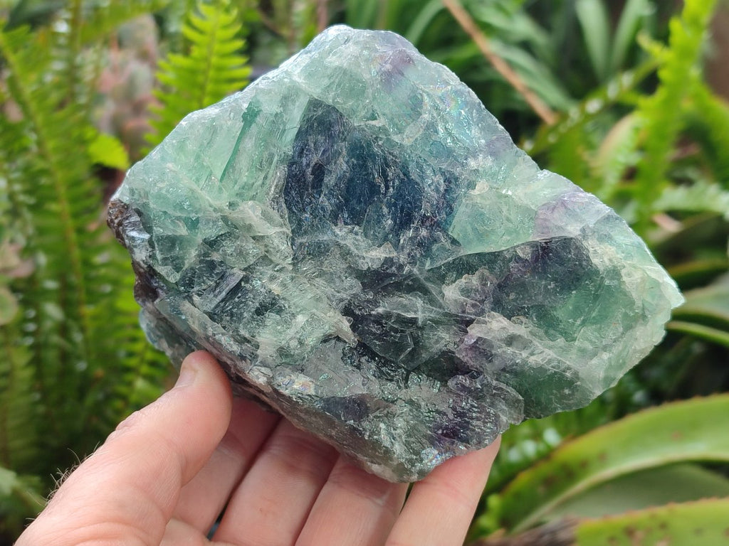 Natural Large Watermelon Fluorite Cobbed Specimens x 4 From Uis, Namibia
