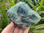 Natural Large Watermelon Fluorite Cobbed Specimens x 4 From Uis, Namibia