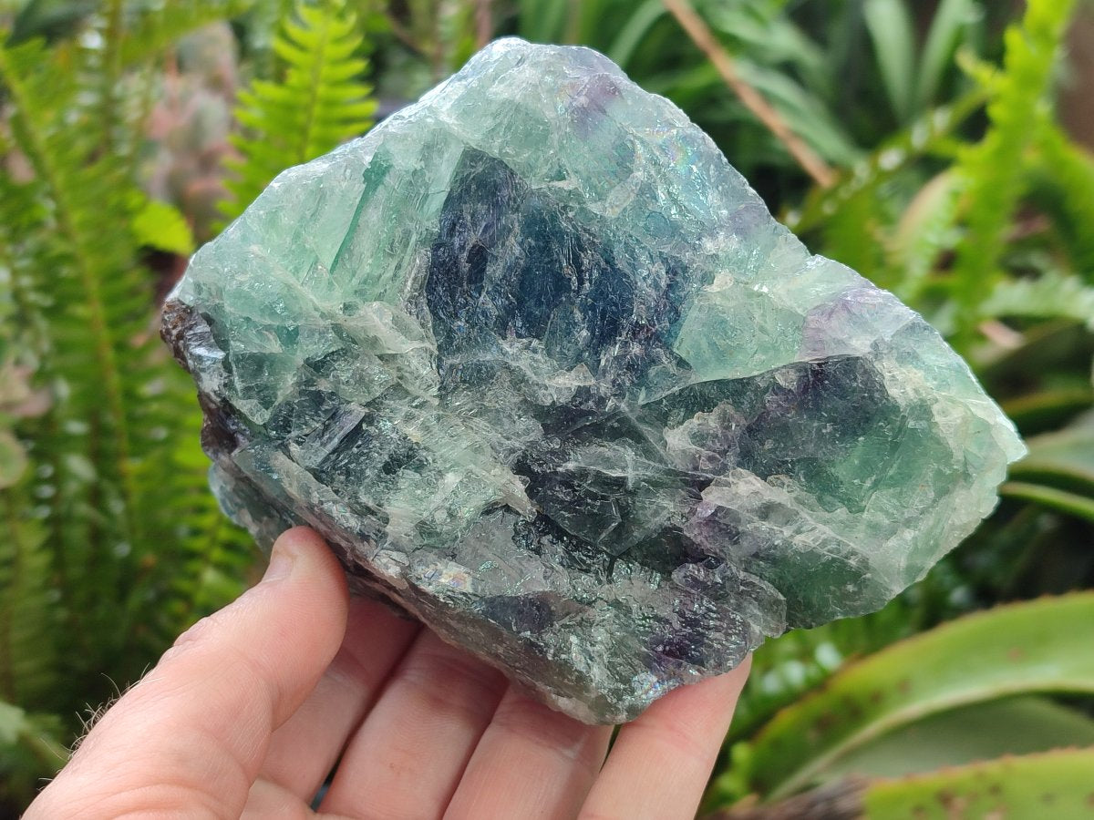 Natural Large Watermelon Fluorite Cobbed Specimens x 4 From Uis, Namibia