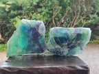 Natural Large Watermelon Fluorite Cobbed Specimens x 4 From Uis, Namibia