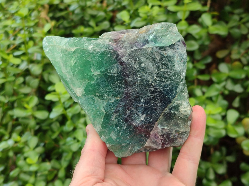 Natural Large Watermelon Fluorite Cobbed Specimens x 4 From Uis, Namibia