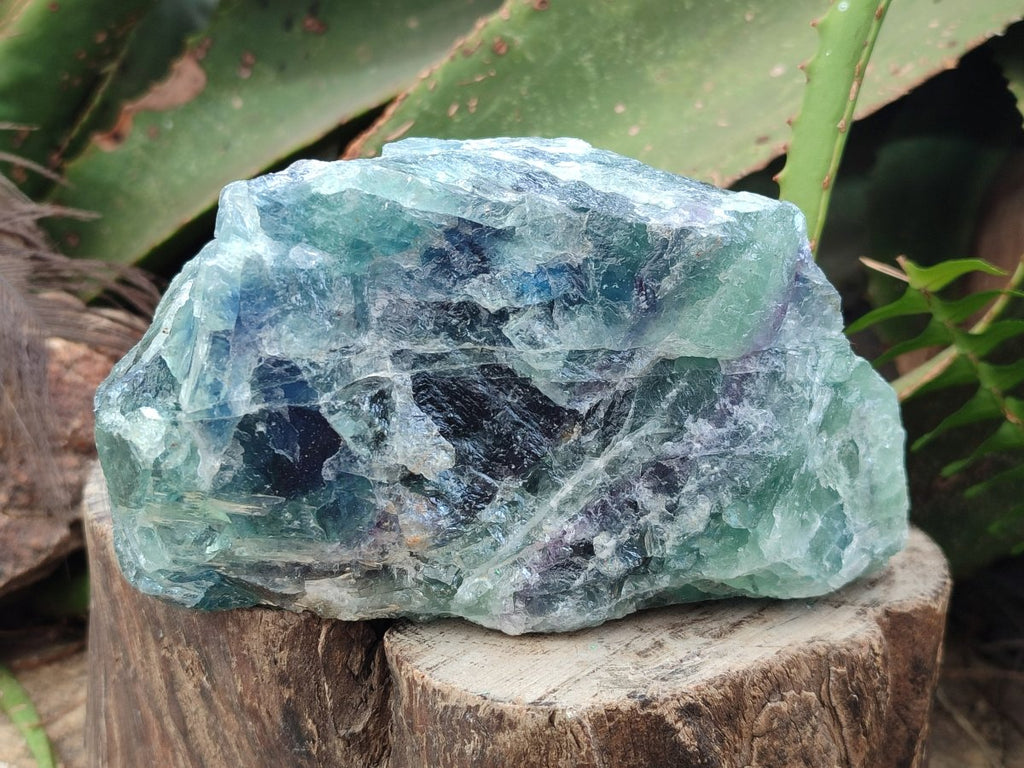 Natural Large Watermelon Fluorite Cobbed Specimens x 4 From Uis, Namibia