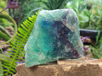 Natural Large Watermelon Fluorite Cobbed Specimens x 4 From Uis, Namibia