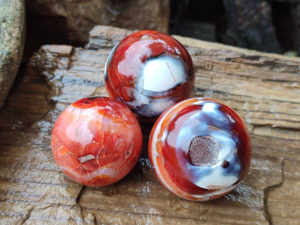 Polished and Natural Carnelian Agate Gemstone Spheres x 12 From Madagascar
