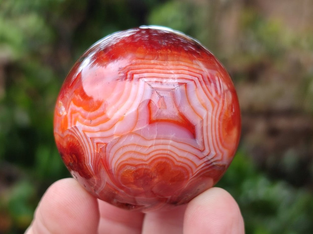 Polished and Natural Carnelian Agate Gemstone Spheres x 12 From Madagascar