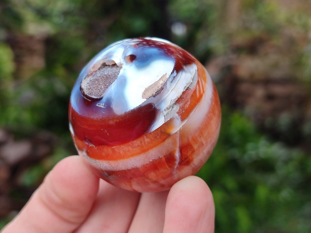 Polished and Natural Carnelian Agate Gemstone Spheres x 12 From Madagascar