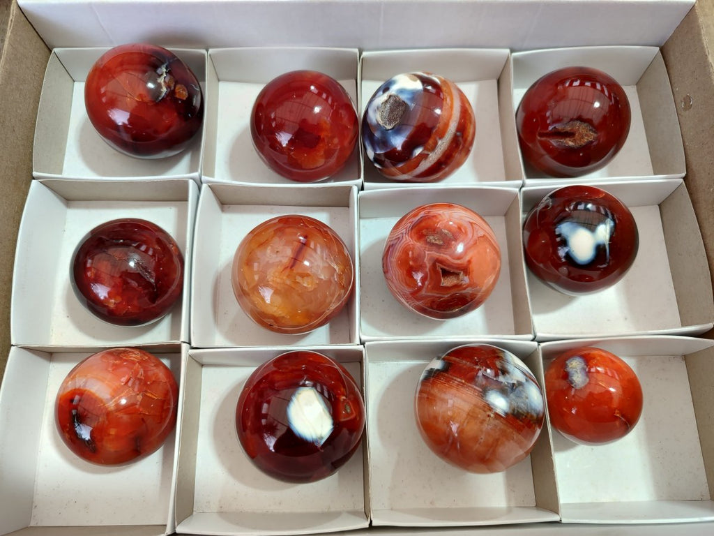 Polished and Natural Carnelian Agate Gemstone Spheres x 12 From Madagascar