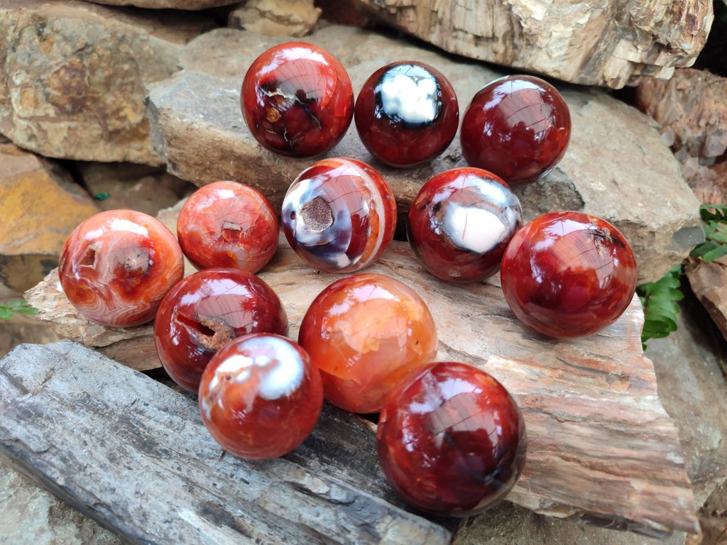 Polished and Natural Carnelian Agate Gemstone Spheres x 12 From Madagascar