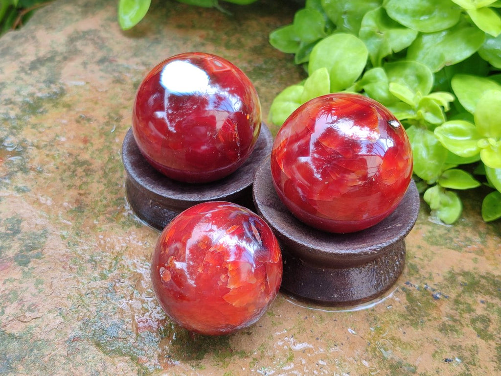 Polished and Natural Carnelian Agate Gemstone Spheres x 12 From Madagascar