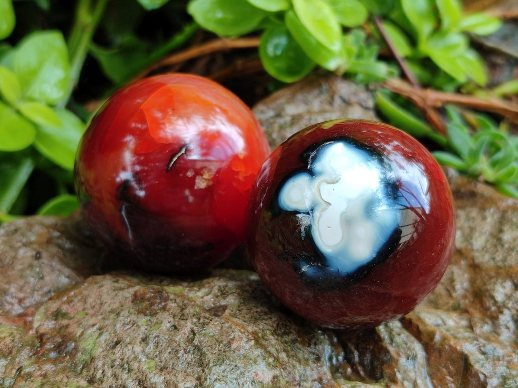 Polished and Natural Carnelian Agate Gemstone Spheres x 12 From Madagascar