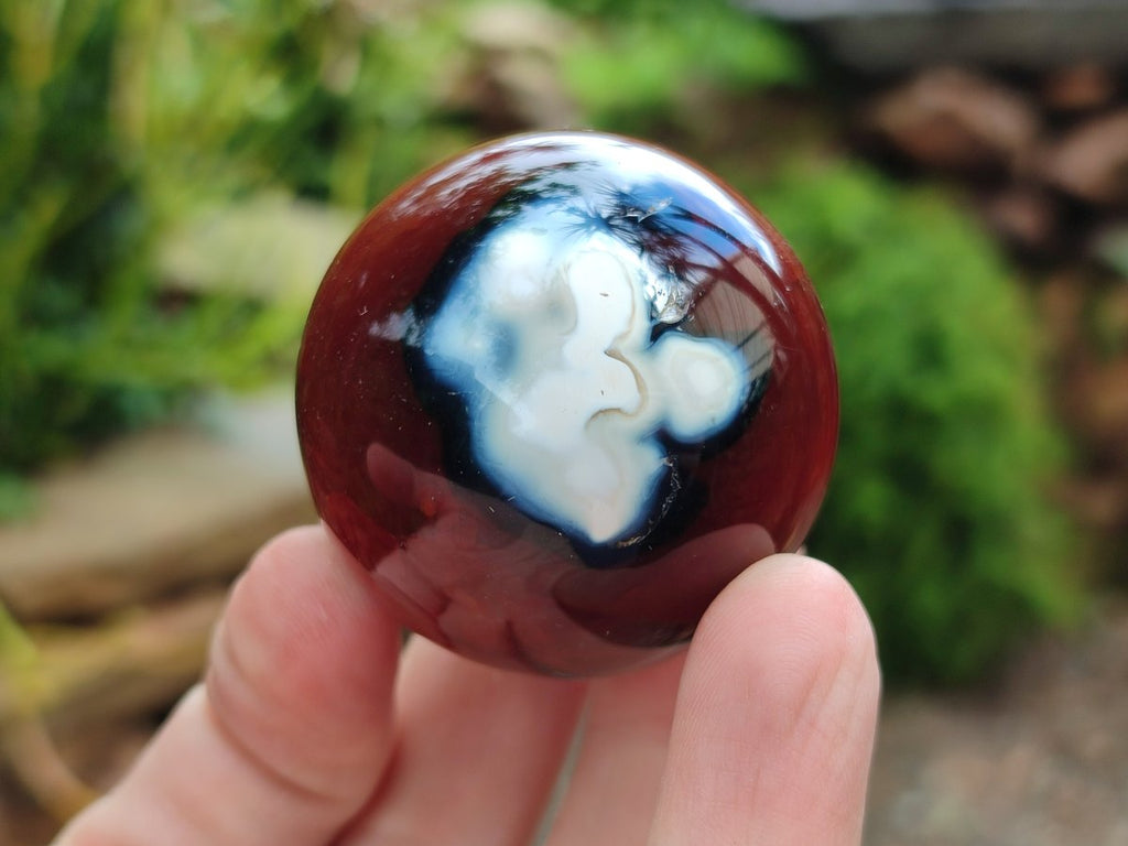 Polished and Natural Carnelian Agate Gemstone Spheres x 12 From Madagascar