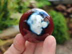 Polished and Natural Carnelian Agate Gemstone Spheres x 12 From Madagascar