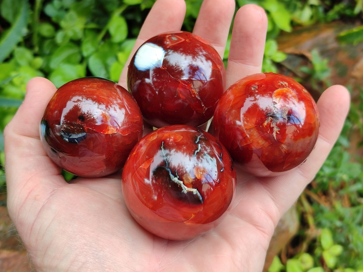 Polished and Natural Carnelian Agate Gemstone Spheres x 12 From Madagascar