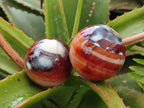 Polished and Natural Carnelian Agate Gemstone Spheres x 12 From Madagascar