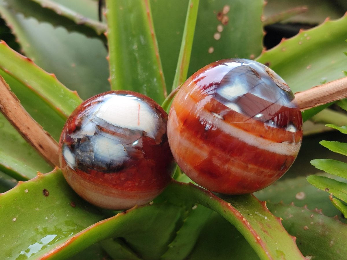 Polished and Natural Carnelian Agate Gemstone Spheres x 12 From Madagascar