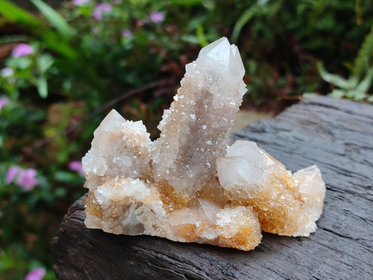 Natural Limonite Tinted Spirit Quartz Clusters x 6 From Boekenhouthoek, South Africa