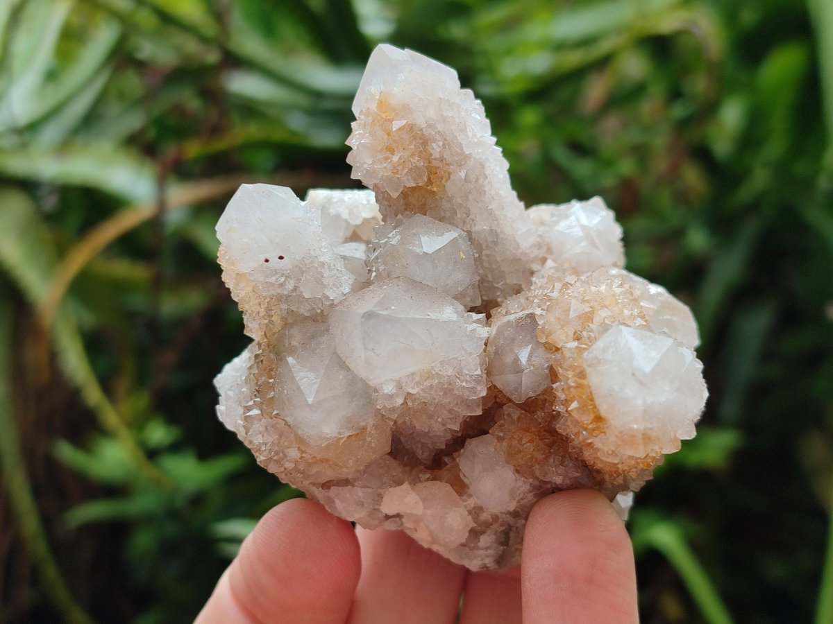 Natural Limonite Tinted Spirit Quartz Clusters x 6 From Boekenhouthoek, South Africa
