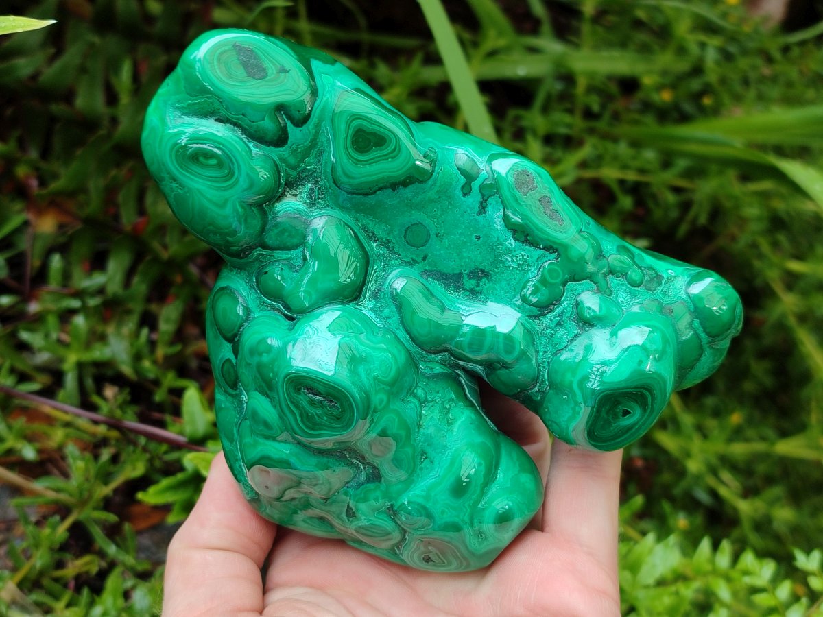 Polished and Natural Flower Banded Malachite Free Forms x 2 From Congo