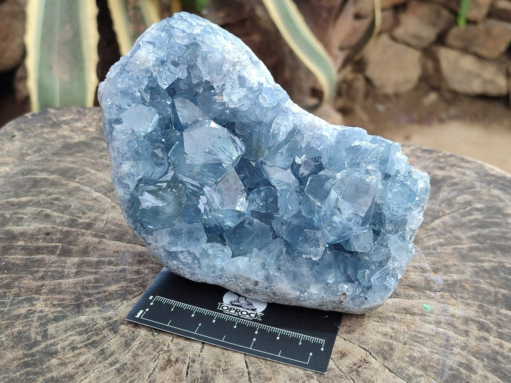Natural Large Blue Celestite Specimen x 1 From Sakoany, Madagascar