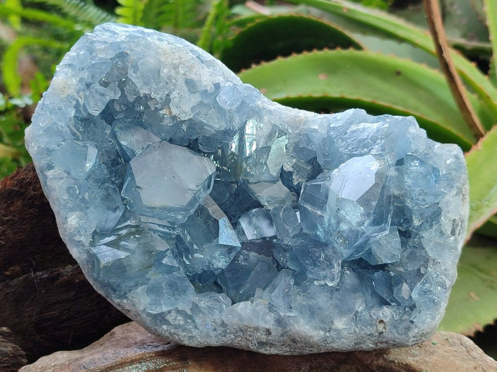 Natural Large Blue Celestite Specimen x 1 From Sakoany, Madagascar