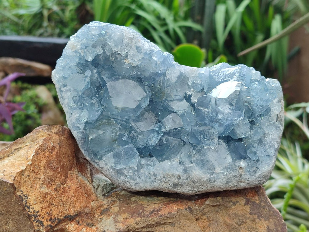 Natural Large Blue Celestite Specimen x 1 From Sakoany, Madagascar