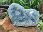 Natural Large Blue Celestite Specimen x 1 From Sakoany, Madagascar