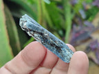 Natural Blue Kyanite Crystals x 1,87 Kg Lot From Karoi, Zimbabwe