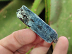 Natural Blue Kyanite Crystals x 1,87 Kg Lot From Karoi, Zimbabwe