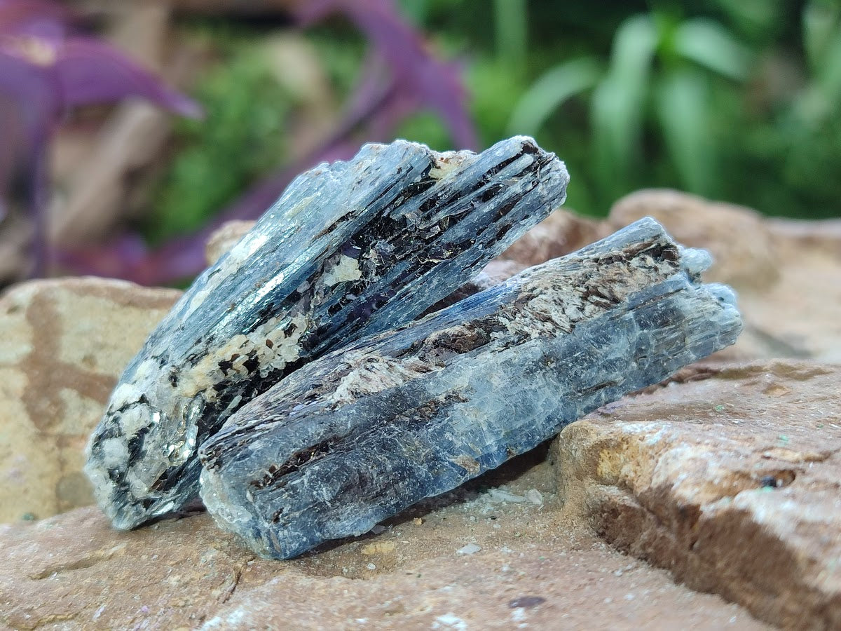 Natural Blue Kyanite Crystals x 1,87 Kg Lot From Karoi, Zimbabwe