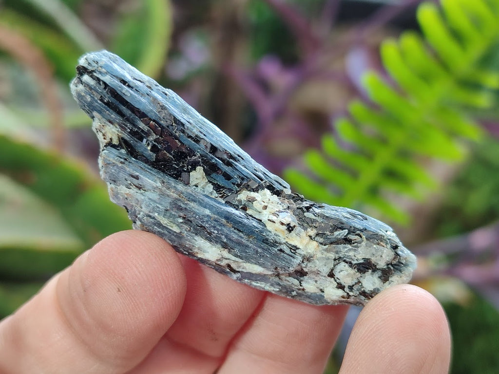 Natural Blue Kyanite Crystals x 1,87 Kg Lot From Karoi, Zimbabwe