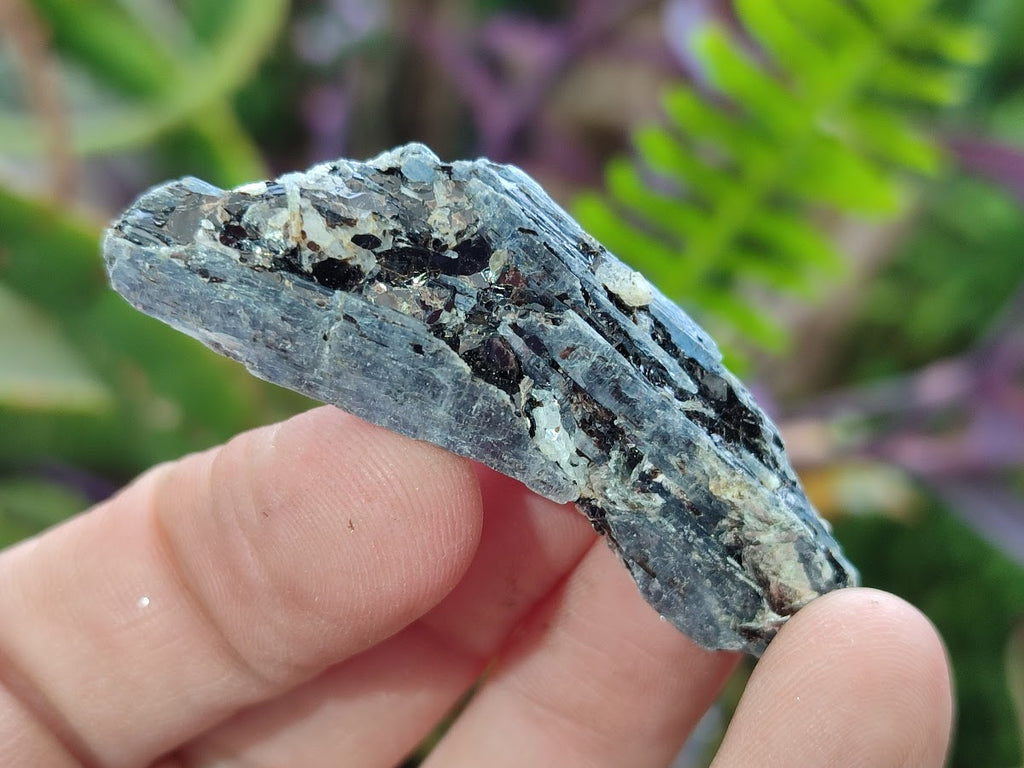 Natural Blue Kyanite Crystals x 1,87 Kg Lot From Karoi, Zimbabwe