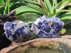 Polished One Side Silver Leaf Lepidolite Domed Nodules x 12 From Zimbabwe