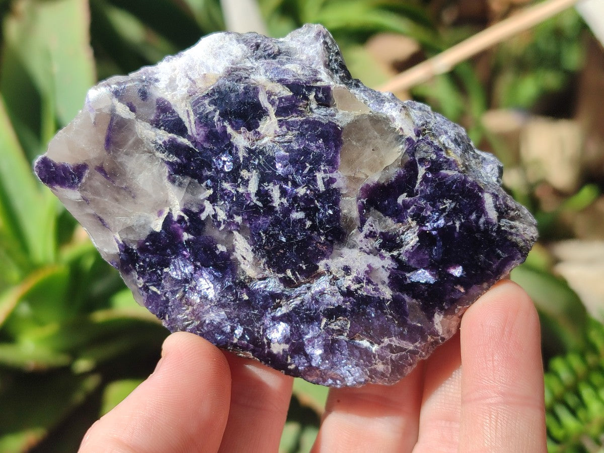 Polished One Side Silver Leaf Lepidolite Domed Nodules x 12 From Zimbabwe