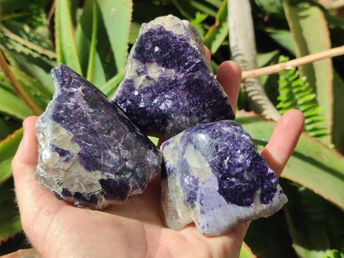 Polished One Side Silver Leaf Lepidolite Domed Nodules x 12 From Zimbabwe