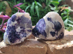 Polished One Side Silver Leaf Lepidolite Domed Nodules x 12 From Zimbabwe