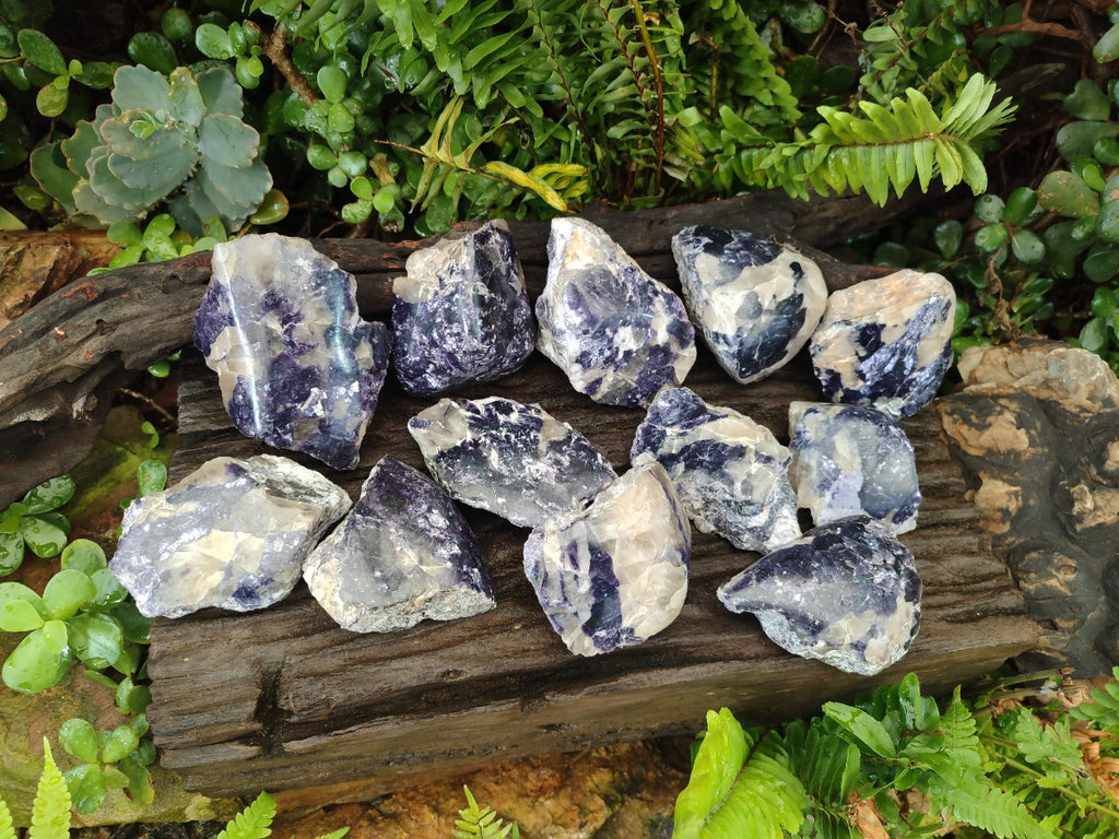 Polished One Side Silver Leaf Lepidolite Domed Nodules x 12 From Zimbabwe