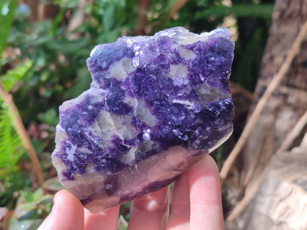 Polished One Side Silver Leaf Lepidolite Domed Nodules x 12 From Zimbabwe