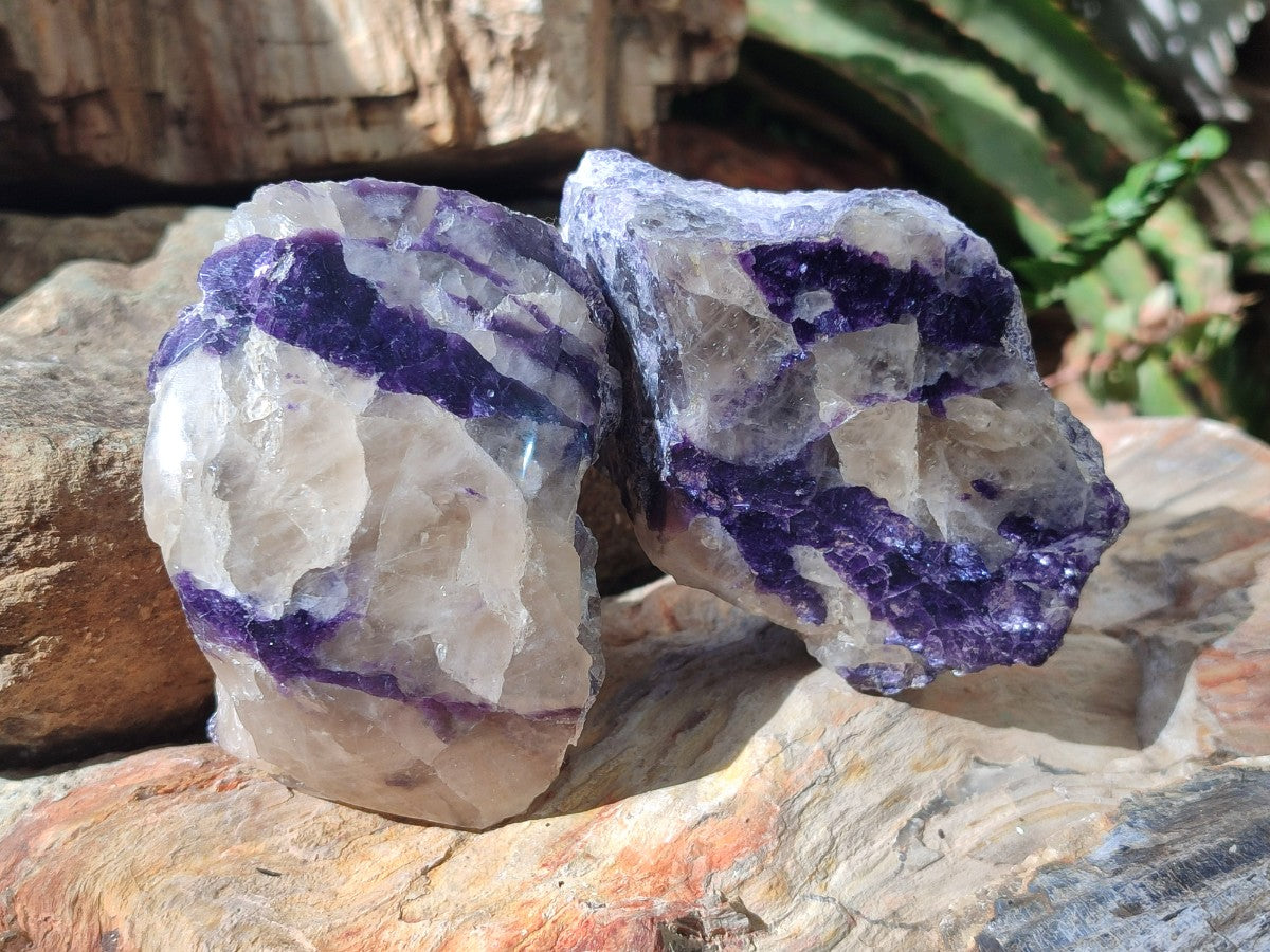 Polished One Side Silver Leaf Lepidolite Domed Nodules x 12 From Zimbabwe