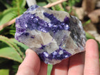 Polished One Side Silver Leaf Lepidolite Domed Nodules x 12 From Zimbabwe