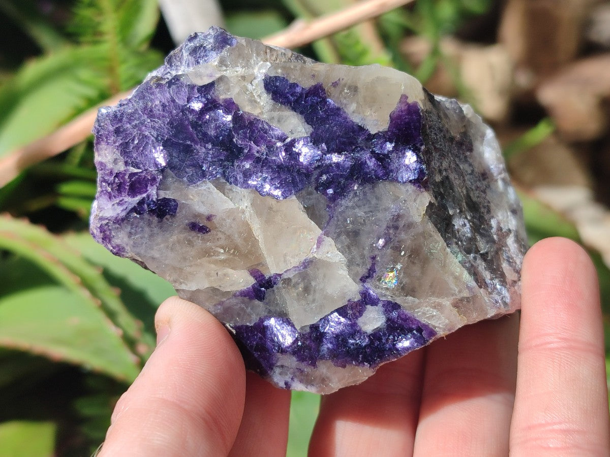 Polished One Side Silver Leaf Lepidolite Domed Nodules x 12 From Zimbabwe