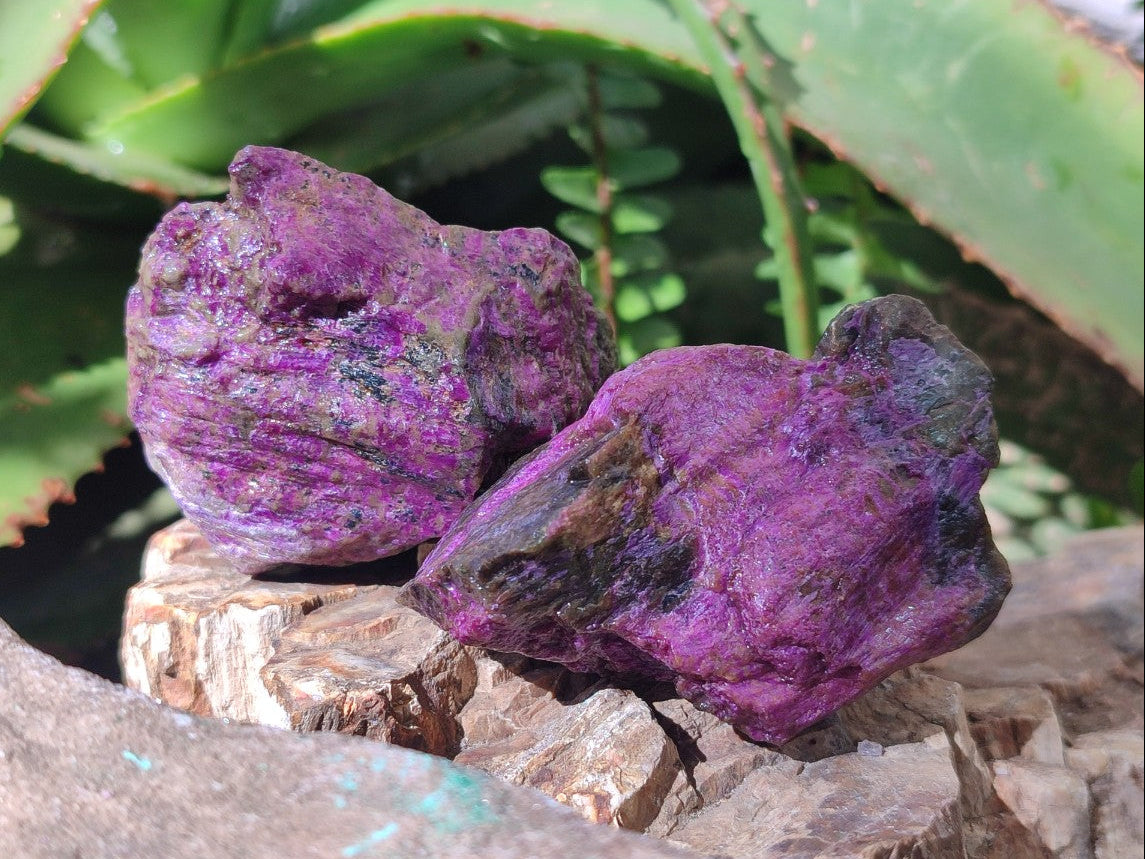 Natural Cobbed Stichtite Specimens x 35 From Barberton, South Africa