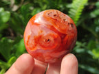 Polished Carnelian Agate Gemstone Galets x 25 From Madagascar