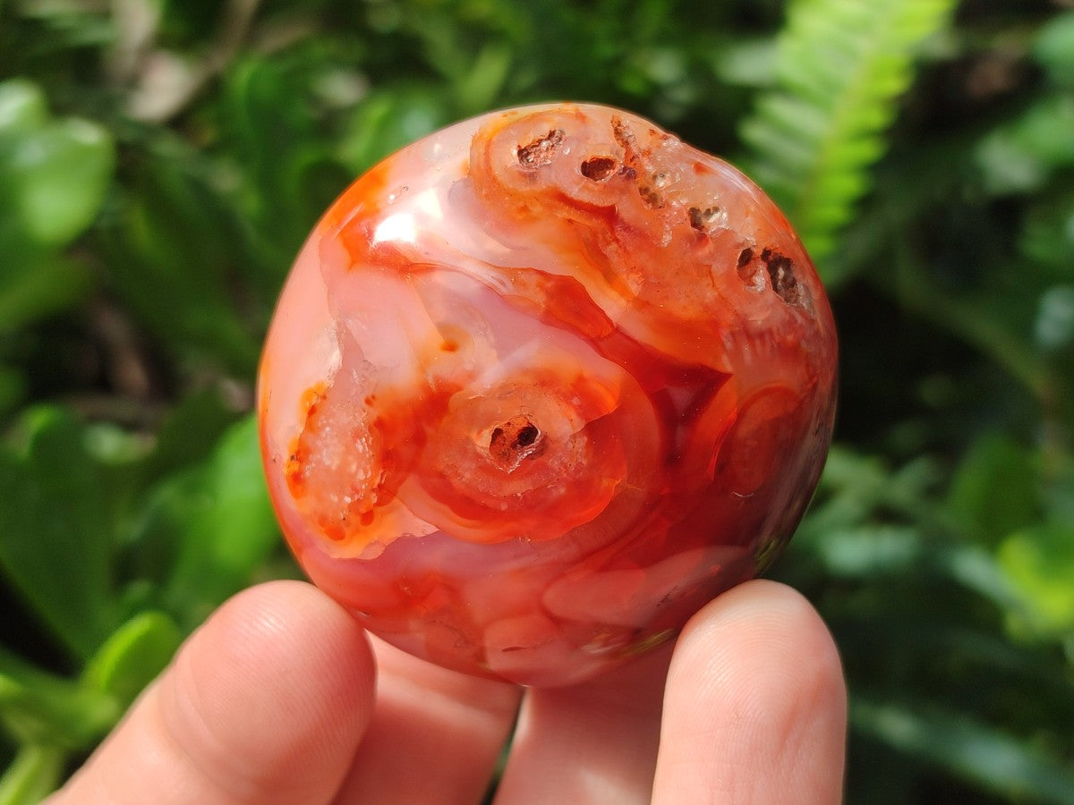 Polished Carnelian Agate Gemstone Galets x 25 From Madagascar