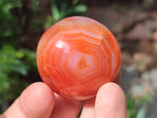 Polished Carnelian Agate Gemstone Galets x 25 From Madagascar