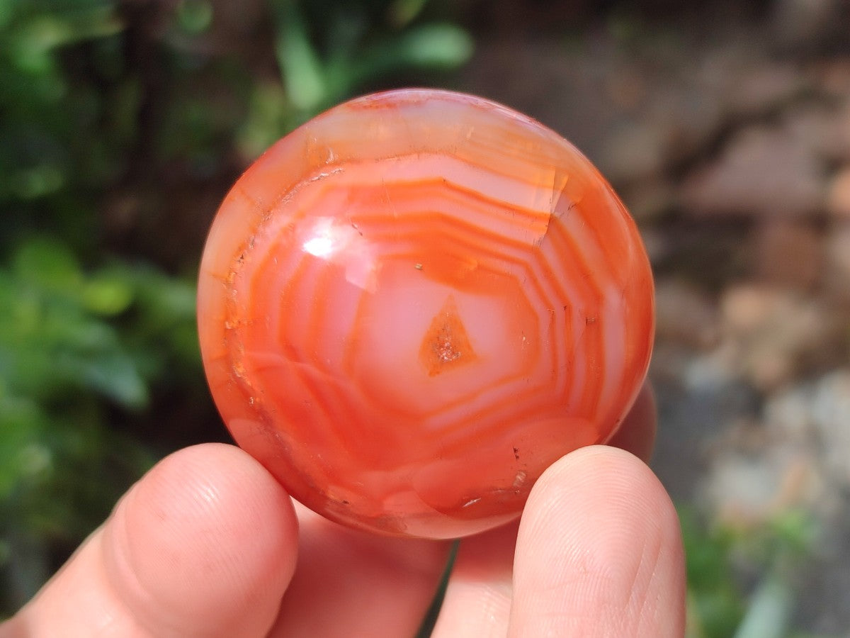 Polished Carnelian Agate Gemstone Galets x 25 From Madagascar