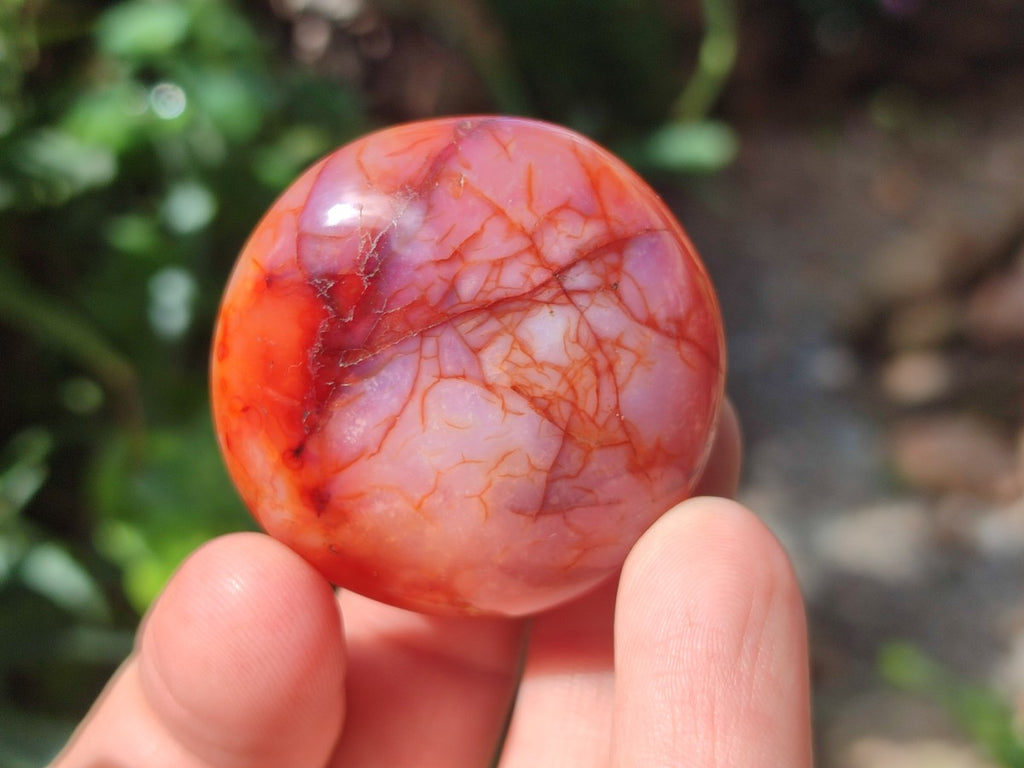 Polished Carnelian Agate Gemstone Galets x 25 From Madagascar
