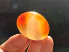 Polished Carnelian Agate Gemstone Galets x 25 From Madagascar