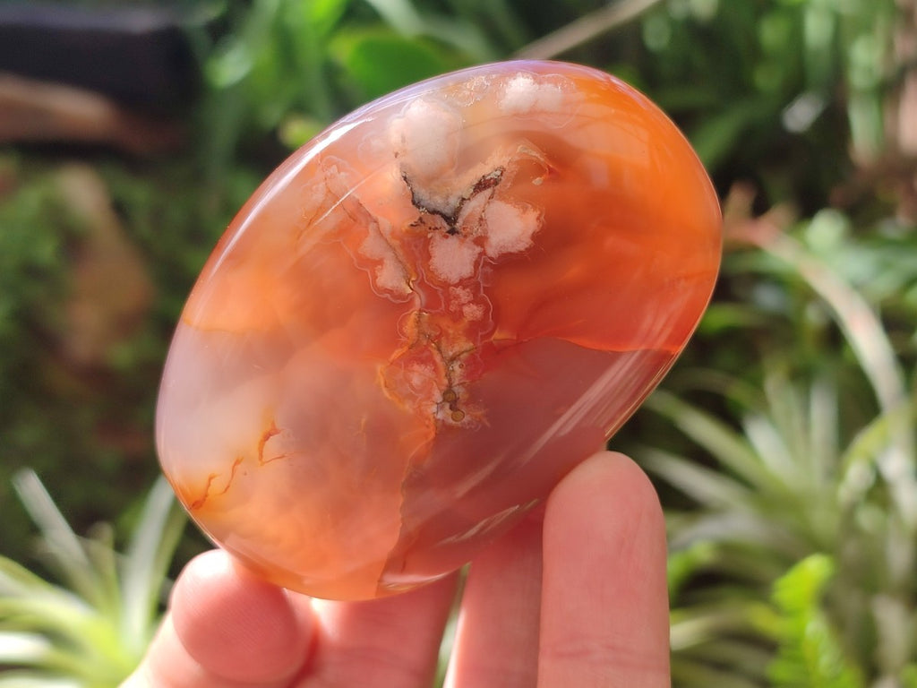 Polished Carnelian Agate Gemstone Galets x 25 From Madagascar