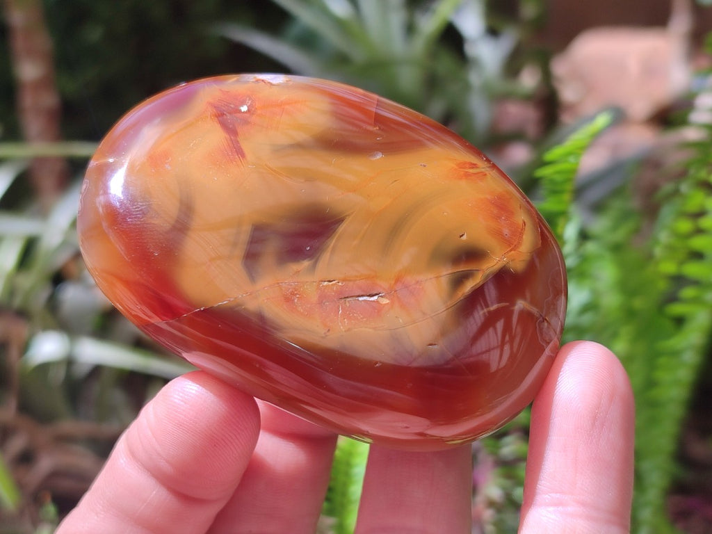 Polished Carnelian Agate Gemstone Galets x 25 From Madagascar